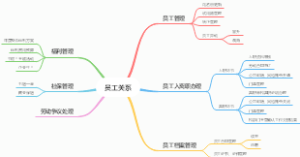 员工关系流程