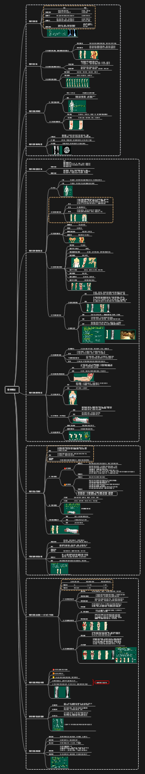 骨折概论