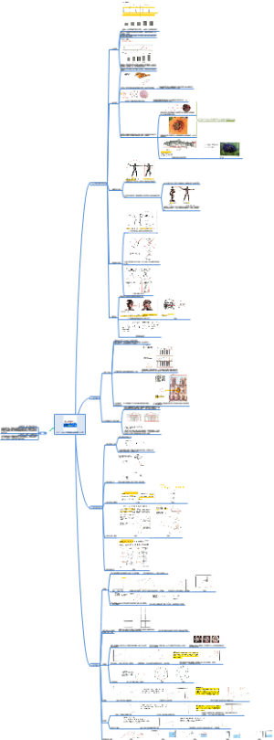 分寸、设计-发型黄金比例恒久之美
