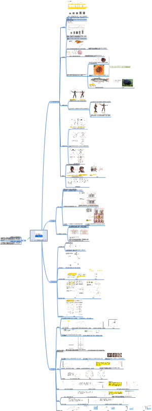 分寸、设计-发型黄金比例恒久之美