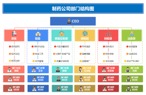 制药公司部门结构图