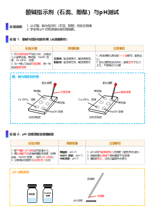酸碱指示剂与pH测试实验教学模板-石蕊酚酞变色规律与酸碱性检测