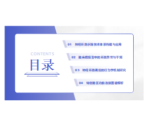 学术风目录页医疗PPT
