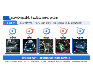新拟态风链路流程结构环境科研项目背景PPT