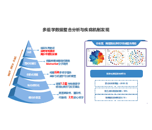 多组学数据分析与疾病机制发现框架生物医药PPT