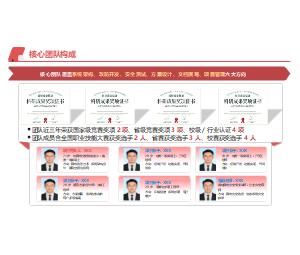 核心团队构成项目成果展示科研PPT