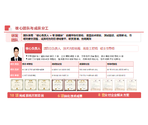 团队架构分工和项目成果展示结构科研PPT
