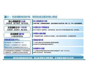 知识图谱结构免疫细胞网络解析生物PPT