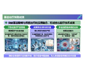 转化路径结构基因治疗成果医学PPT