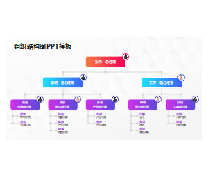 组织结构图PPT模板