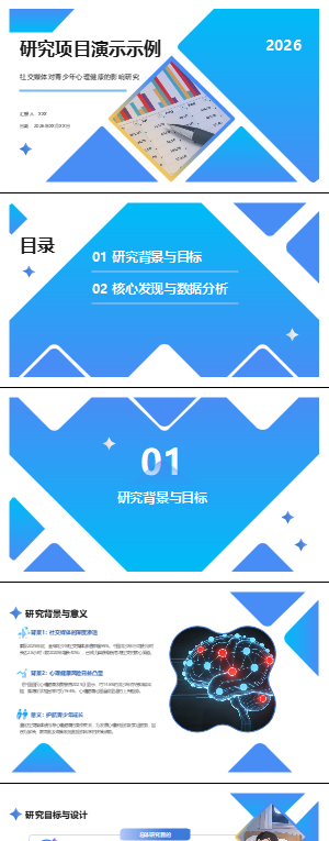 研究项目演示示例