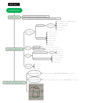 词汇学Introducing Lexicology