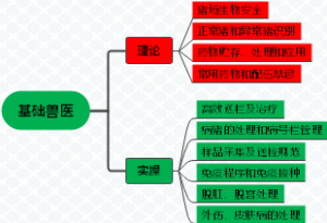 基础兽医知识导图
