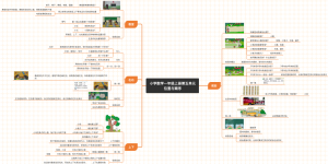 数学北师大版一年级上册第五单元-位置与顺序（教案版）