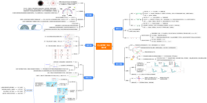 四上数学第二单元线与角