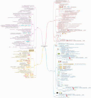 数学北师大版三年级下册第六单元-认识分数（教案版）