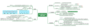 五上数学第三单元倍数与因数