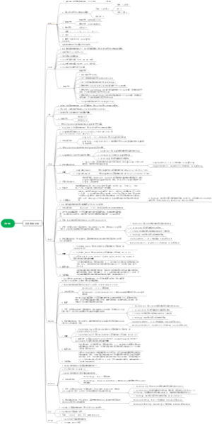 Java-数据类型思维导图
