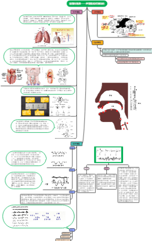 语音的性质知识导图