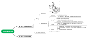 新冀教版生物七年级上册