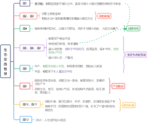 2025国考市地-第一题-生态实践智慧