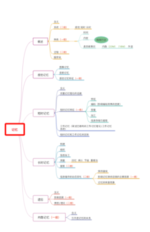 心理学导论第十二章记忆