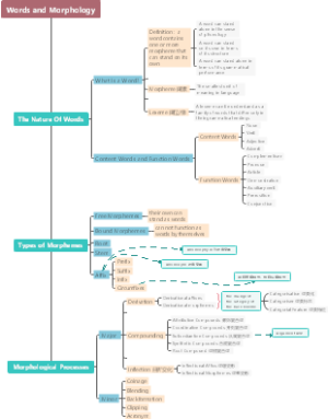英语语言学 Unit3 Words and Morphology