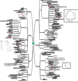糖代谢思维导图