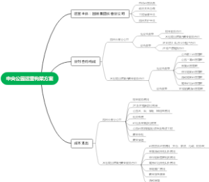 中央公园运营主体构想