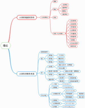 绪论解剖学