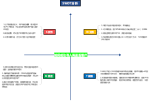 海盗船客户SWOT分析