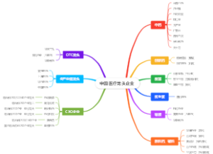 中国医疗龙头企业