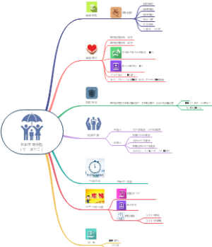 新华保险宜家保