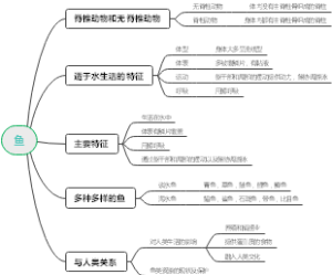 鱼