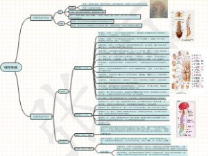 生理心理学思维导图