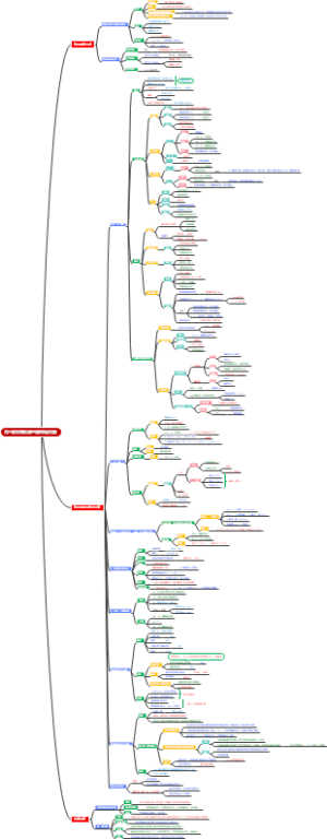 肾小管的物质转运功能