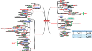 RNA的空间结构与功能