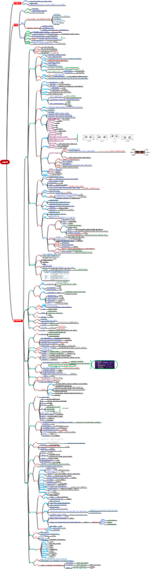 一般检查·头部检查