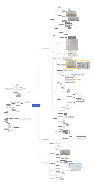 第十章 神经系统的功能