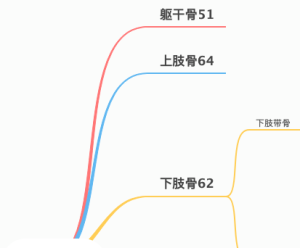 骨学及骨连结