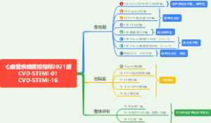 心血管疾病质控指标2021版CVD-STEMI-01CV