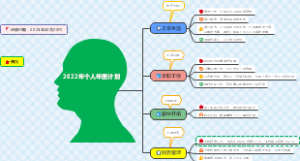 2022年个人年度计划