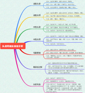 头皮问题及原因分析