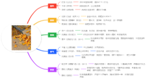 导图—秋之诗
