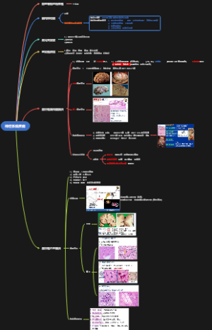病理学2第十六章——神经系统疾病