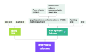 发作性疾病分类