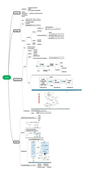 肝生化知识导图