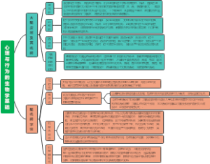 心理与行为的生物学基础