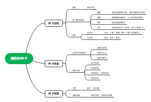 植物的种子(1)