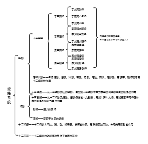 p33 第一篇 与美容相关的中医理论第四章经络与美容